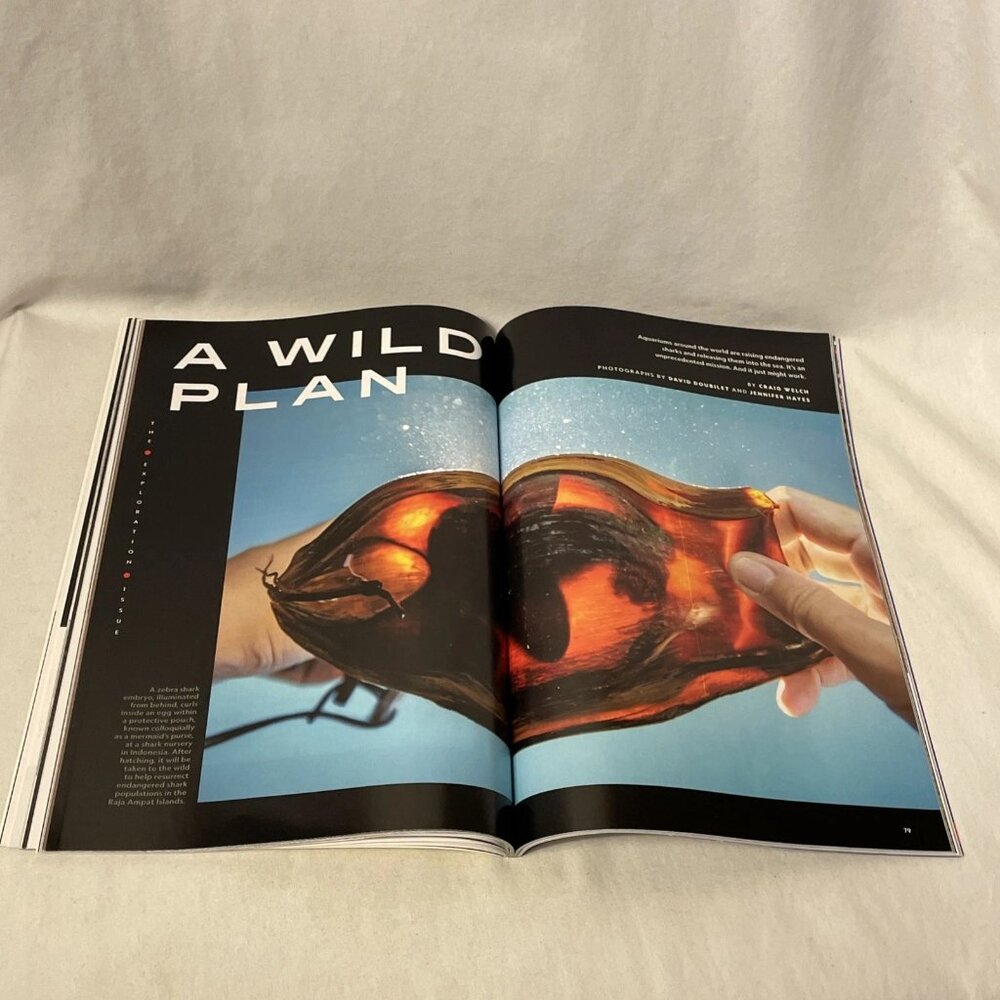National Geographic July 2023 Exploration Issue Amazon Ancient Human Relative Sh - Picture 10 of 12